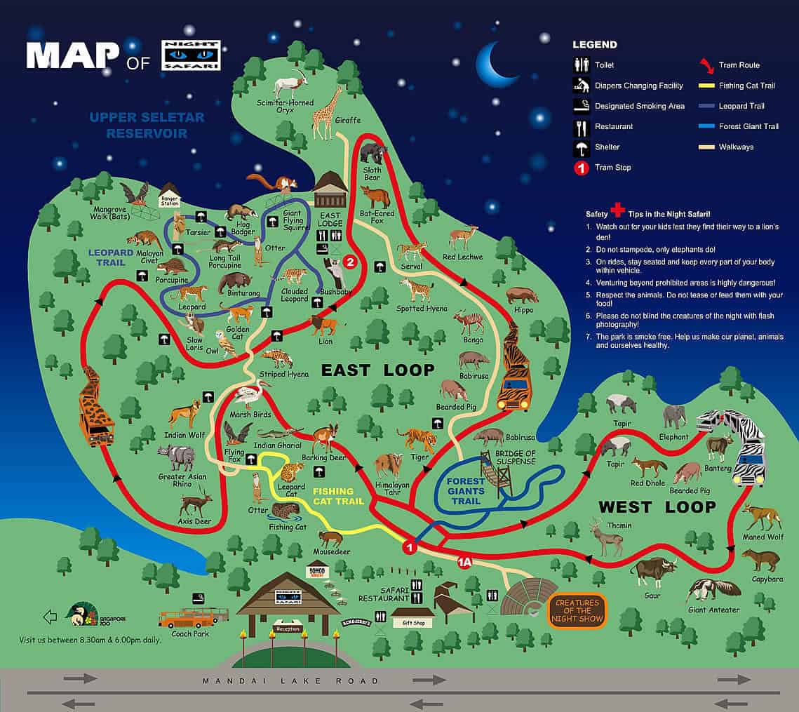 Map of Night Safari exhibits