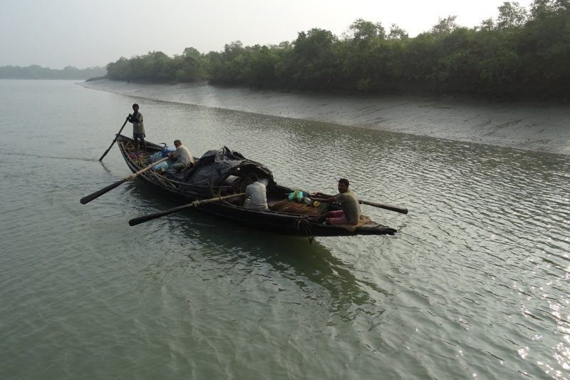 Four men row a long wooden boat in the sundarbans
