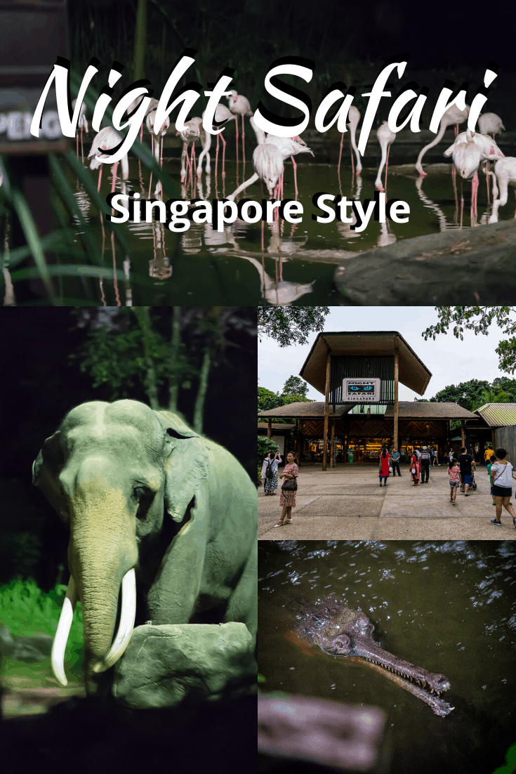 night safari in singapore rates
